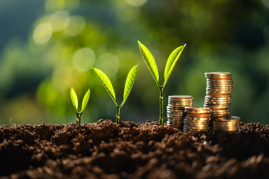 Real Estate Investing